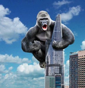 bộ ảnh chế King Kong 2