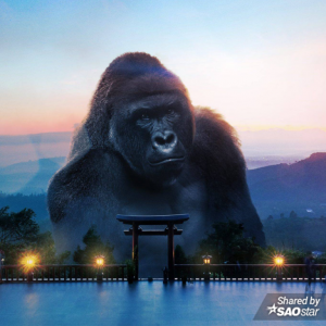 bộ ảnh chế King Kong 11